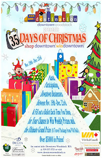 35Days_of_Christmas_Final_11x17.jpg