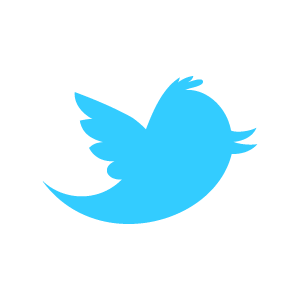 twitter_newbird_blue.png